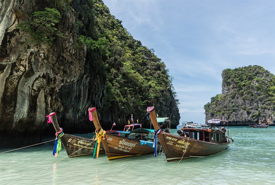 雷龍魚怎么造景