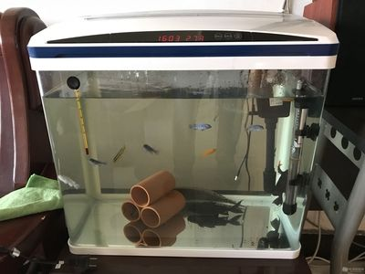 大朗哪里有賣魚缸配件的地方：在大朗可以尋找魚缸配件的一些地方