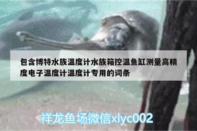包含博特水族溫度計水族箱控溫魚缸測量高精度電子溫度計溫度計專用的詞條
