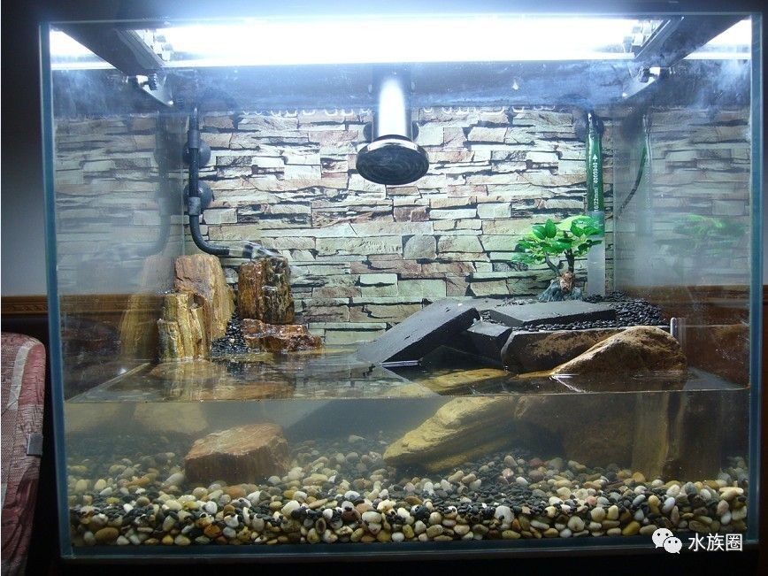 60公分魚缸造景多少錢一個：60公分魚缸造景大致價(jià)格范圍：魚缸造景的布置方法