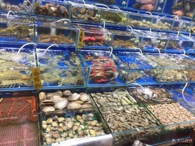 黃南藏族自治州水族館vs祥龍魚場（黃南藏族自治州水族館信息）