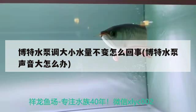 博特水泵調大小水量不變怎么回事(博特水泵聲音大怎么辦)