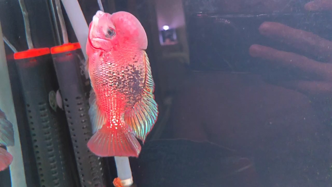 快一年了