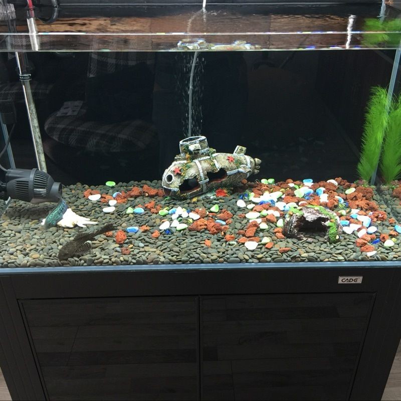 1.2米的魚缸圖片造景：1.2米的魚缸造景