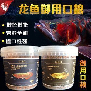 紅龍魚怎么增色發色：紅龍魚增色劑的副作用紅龍魚增色劑的副作用