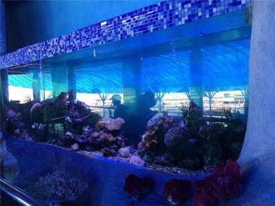 三亞水族館vs祥龍魚場（三亞水族館和祥龍魚場哪個好）