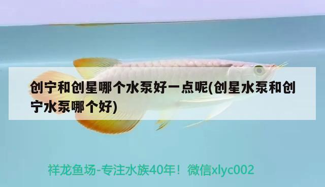 水族器材 創(chuàng)寧和創(chuàng)星哪個水泵好一點(diǎn)呢(創(chuàng)星水泵和創(chuàng)寧水泵哪個好) 創(chuàng)寧水族 創(chuàng)寧和創(chuàng)星哪個水泵好一點(diǎn)呢(創(chuàng)星水泵和創(chuàng)寧水泵哪個好) 創(chuàng)寧和創(chuàng)星哪個水泵好一點(diǎn)呢(創(chuàng)星水泵和創(chuàng)寧水泵哪個好) 創(chuàng)寧水族