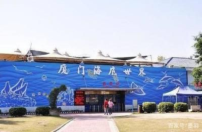 廈門水族館vs祥龍魚場（廈門水族館與祥龍魚場有什么區(qū)別？）