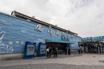 廈門水族館vs祥龍魚場（廈門水族館與祥龍魚場有什么區(qū)別？）