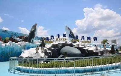 龍巖水族館vs祥龍魚場（龍巖水族館一三五七養魚新手也能養好魚祥龍魚場）