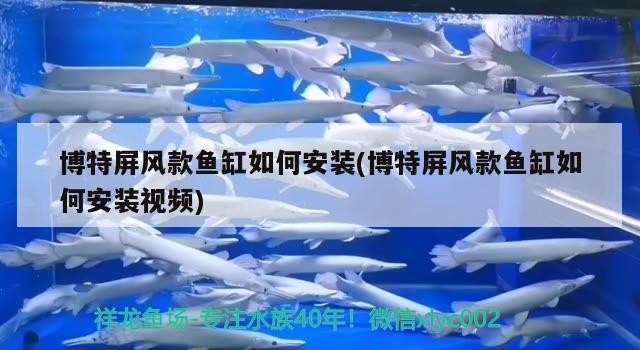 博特屏風(fēng)款魚(yú)缸如何安裝(博特屏風(fēng)款魚(yú)缸如何安裝視頻)