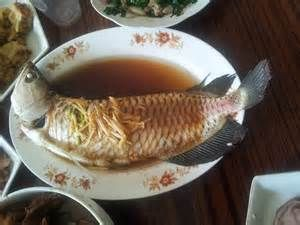 紅龍魚能吃不：關于紅龍魚能否食用的詳細信息，紅龍魚的飼養技巧