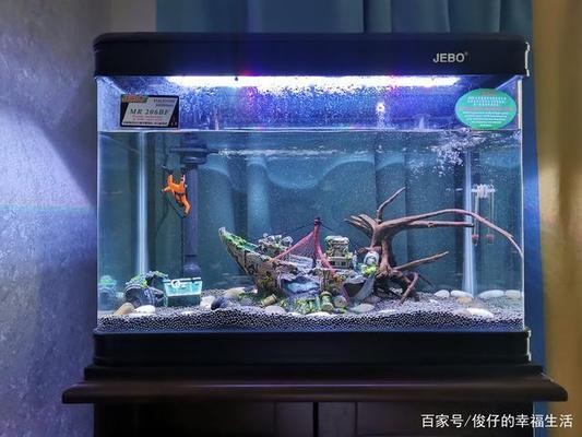 創寧水泵改造(創寧水泵改裝)