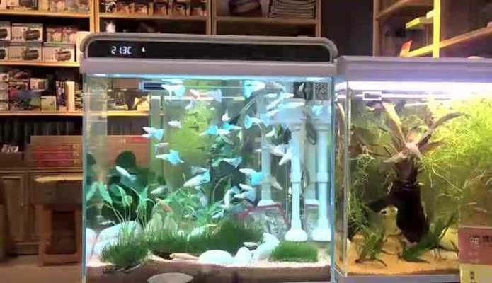 森森魚缸he和at系列怎么選？