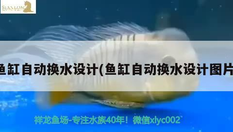 魚缸換水為什么要靜置（魚缸換水為什么要加鹽）