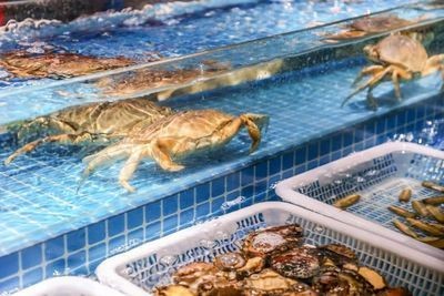 鎮江水族館vs祥龍魚場(鎮江水族館和祥龍魚場哪個好) 全國水族館企業名錄 第2張 鎮江水族館vs祥龍魚場(鎮江水族館和祥龍魚場哪個好) 鎮江水族館vs祥龍魚場(鎮江水族館和祥龍魚場哪個好) 全國水族館企業名錄 第2張