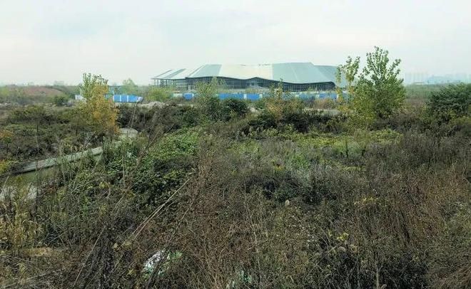 鎮江水族館vs祥龍魚場(鎮江水族館和祥龍魚場哪個好) 全國水族館企業名錄 第5張 鎮江水族館vs祥龍魚場(鎮江水族館和祥龍魚場哪個好) 鎮江水族館vs祥龍魚場(鎮江水族館和祥龍魚場哪個好) 全國水族館企業名錄 第5張