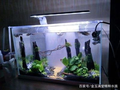創(chuàng)寧變頻水泵型號的區(qū)別（創(chuàng)寧變頻水泵型號的區(qū)別在哪）