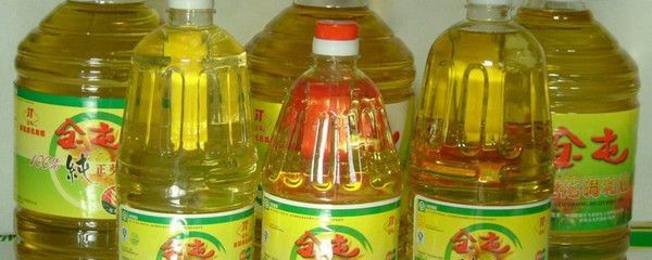 金龍魚重量，關于金龍魚體重的詳細解析