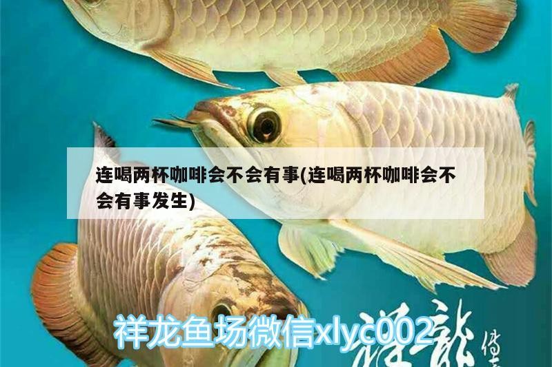 連喝兩杯咖啡會不會有事(連喝兩杯咖啡會不會有事發生)
