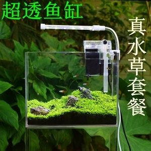 斗魚缸裝飾千萬別放陶飾物：i斗魚缸裝飾物在選擇裝飾物時應避免使用陶飾物的作用