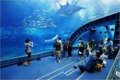 鄭州水族館vs祥龍魚場(探討鄭州水族館與祥龍魚場之間的差異之前需要明確兩者的主要業務和特色)