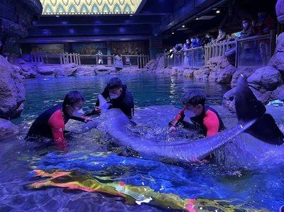 鄭州水族館vs祥龍魚場(探討鄭州水族館與祥龍魚場之間的差異之前需要明確兩者的主要業務和特色)