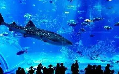 鄭州水族館vs祥龍魚場(探討鄭州水族館與祥龍魚場之間的差異之前需要明確兩者的主要業務和特色)