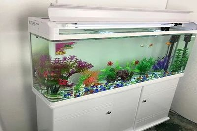 1米長魚缸多少錢了，1米長的魚缸價格因素而異，自制魚缸材料選購指南