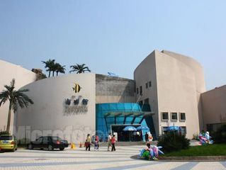 鄭州水族館vs祥龍魚場(探討鄭州水族館與祥龍魚場之間的差異之前需要明確兩者的主要業務和特色)