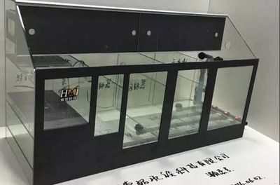 超白玻璃可以做魚缸嗎：超白玻璃與普通玻璃的區別 超白玻璃可以做魚缸嗎：超白玻璃與普通玻璃的區別 魚缸百科 第1張