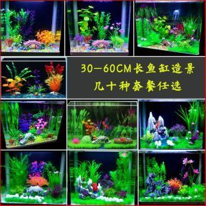 3060的魚缸價格：30