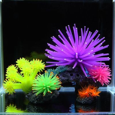 3060的魚缸價格：30