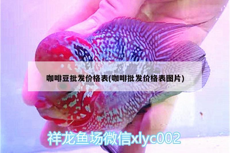 咖啡豆批發價格表(咖啡批發價格表圖片)