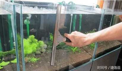 布景的魚缸怎么清理干凈：布景的魚缸清理干凈的具體方法和注意事項(xiàng)和注意事項(xiàng)