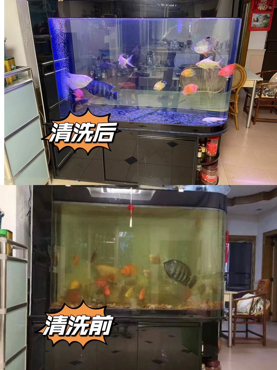 廣州魚缸清洗護理，魚缸安裝，搬運