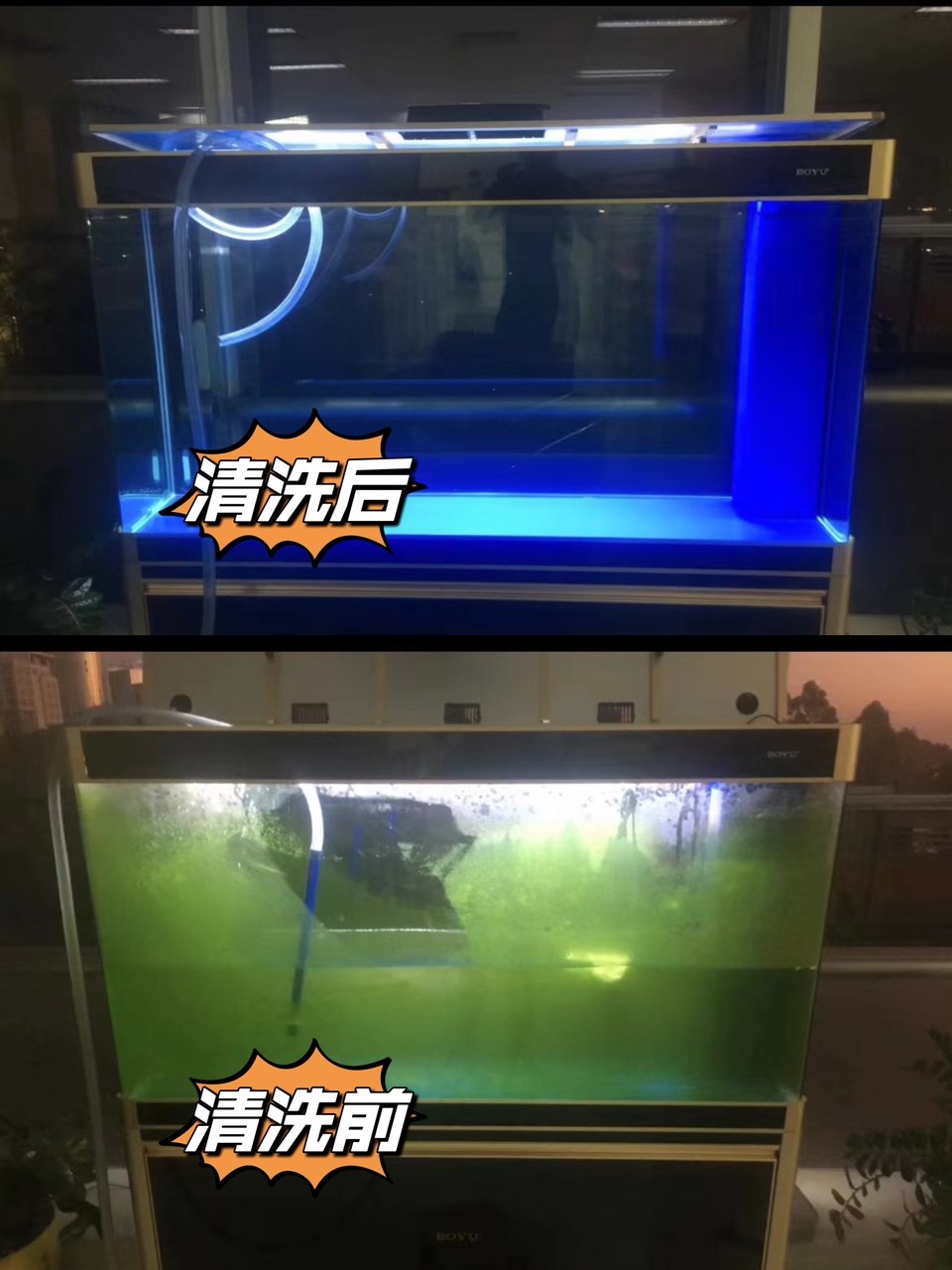 廣州魚缸清洗護理，魚缸安裝，搬運