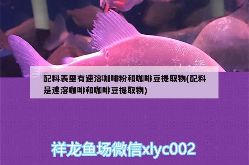 配料表里有速溶咖啡粉和咖啡豆提取物(配料是速溶咖啡和咖啡豆提取物) 配料表里有速溶咖啡粉和咖啡豆提取物(配料是速溶咖啡和咖啡豆提取物) 馬來西亞咖啡