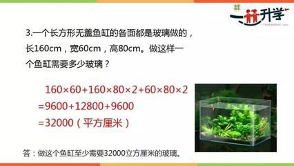 玻璃魚缸有蓋還是無蓋：玻璃魚缸有蓋還是無蓋？