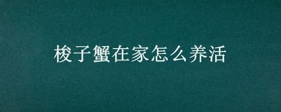 大魚缸怎樣清洗和換水：如何正確的清洗大魚缸和換水？