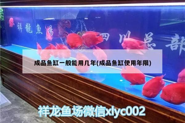 盤錦魚缸定做廠家聯系方式大全及價格圖片