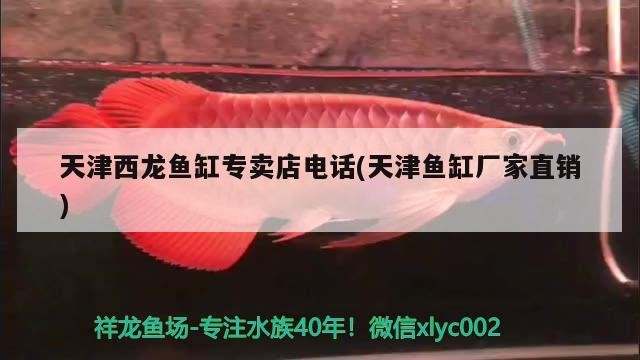 天津西龍魚缸專賣店電話(天津魚缸廠家直銷)