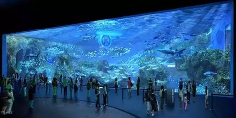 德陽水族館vs祥龍魚場（德陽水族館和祥龍魚場有什么區別？）