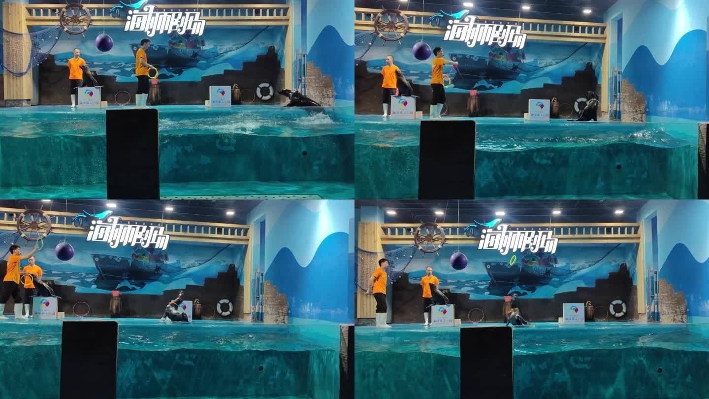 德陽水族館vs祥龍魚場（德陽水族館和祥龍魚場有什么區別？）