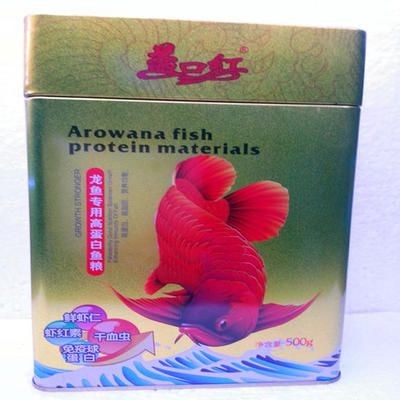 紅龍魚和什么魚養最好看：與紅龍魚混養的幾種魚類