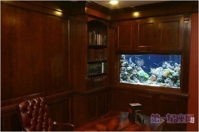 辦公室魚缸放在什么位置最好：辦公室魚缸最佳擺放位置