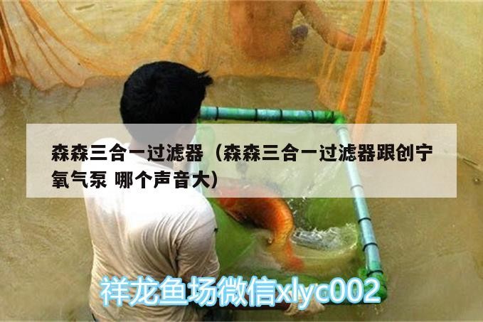 森森三合一過濾器（森森三合一過濾器跟創寧氧氣泵哪個聲音大）