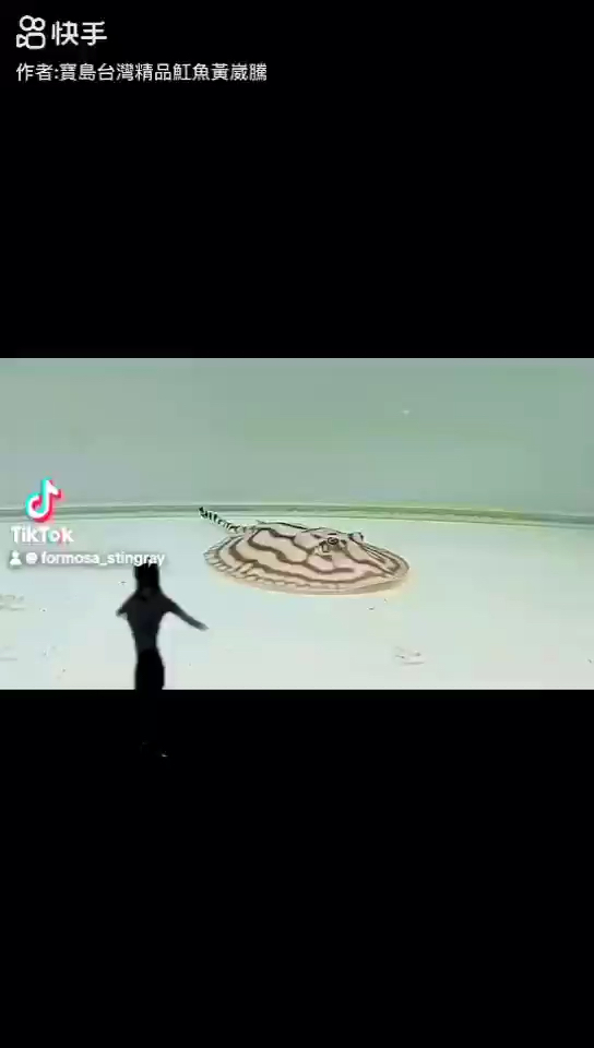 跟風