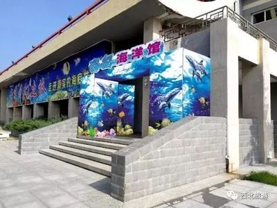 延安水族館vs祥龍魚場（延安水族館與祥龍魚場的區別）