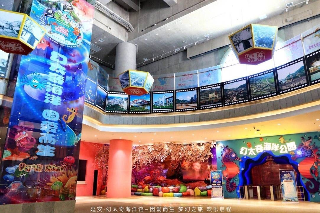 延安水族館vs祥龍魚場（延安水族館與祥龍魚場的區別）